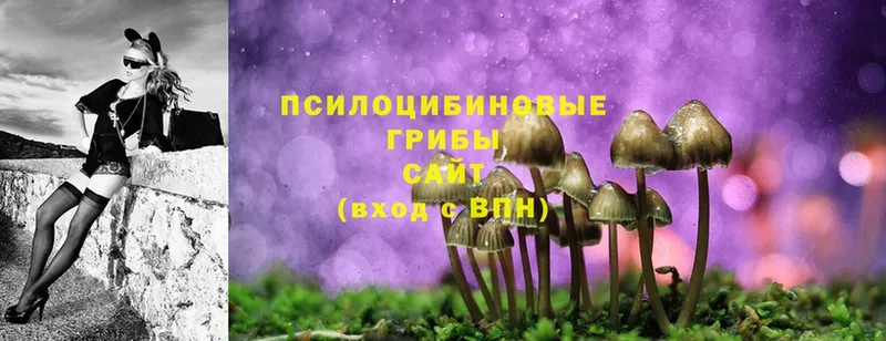 Галлюциногенные грибы MAGIC MUSHROOMS  Вольск 